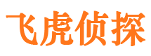 城区侦探公司